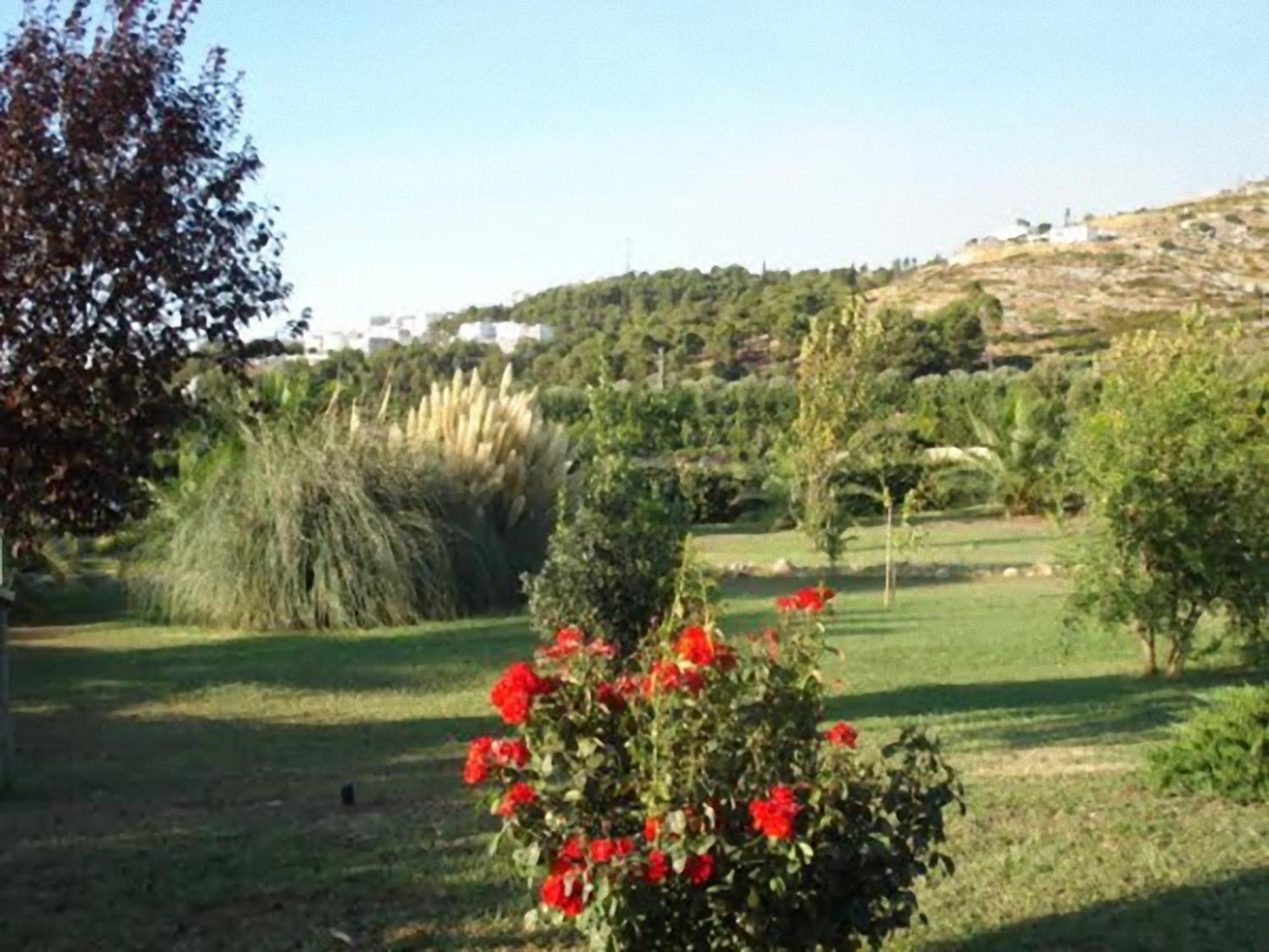 La Piana Di Calena Villa Peschici Buitenkant foto
