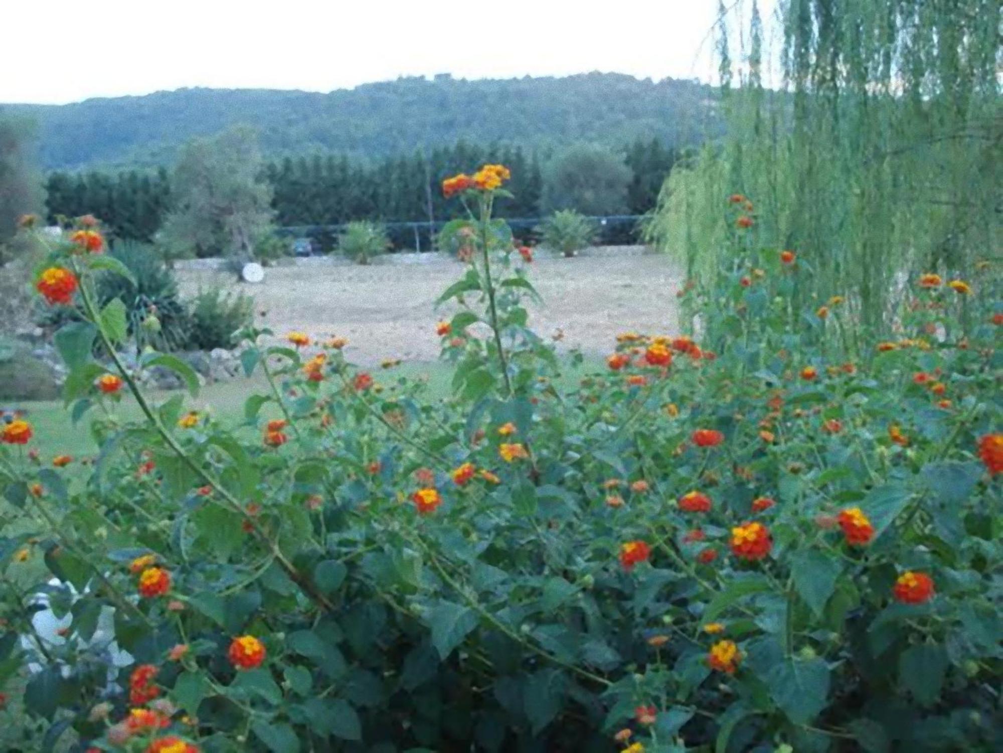 La Piana Di Calena Villa Peschici Buitenkant foto
