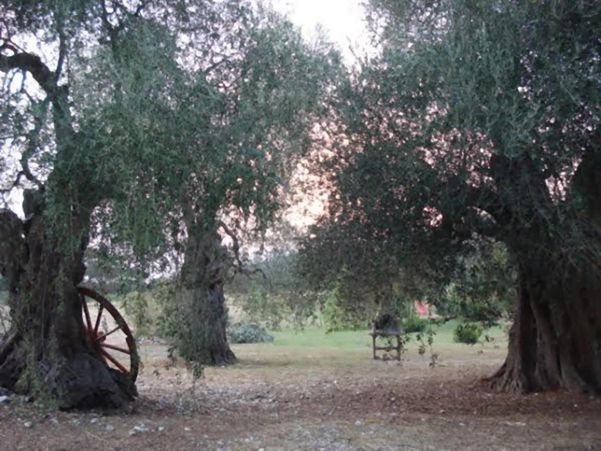 La Piana Di Calena Villa Peschici Buitenkant foto