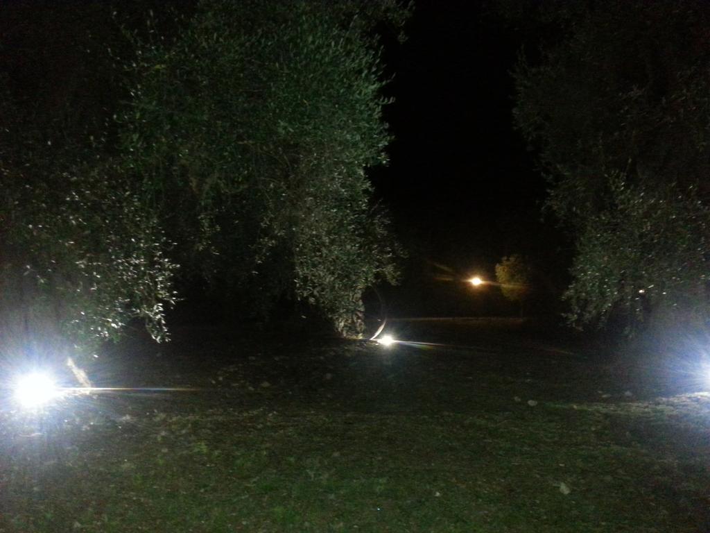 La Piana Di Calena Villa Peschici Buitenkant foto